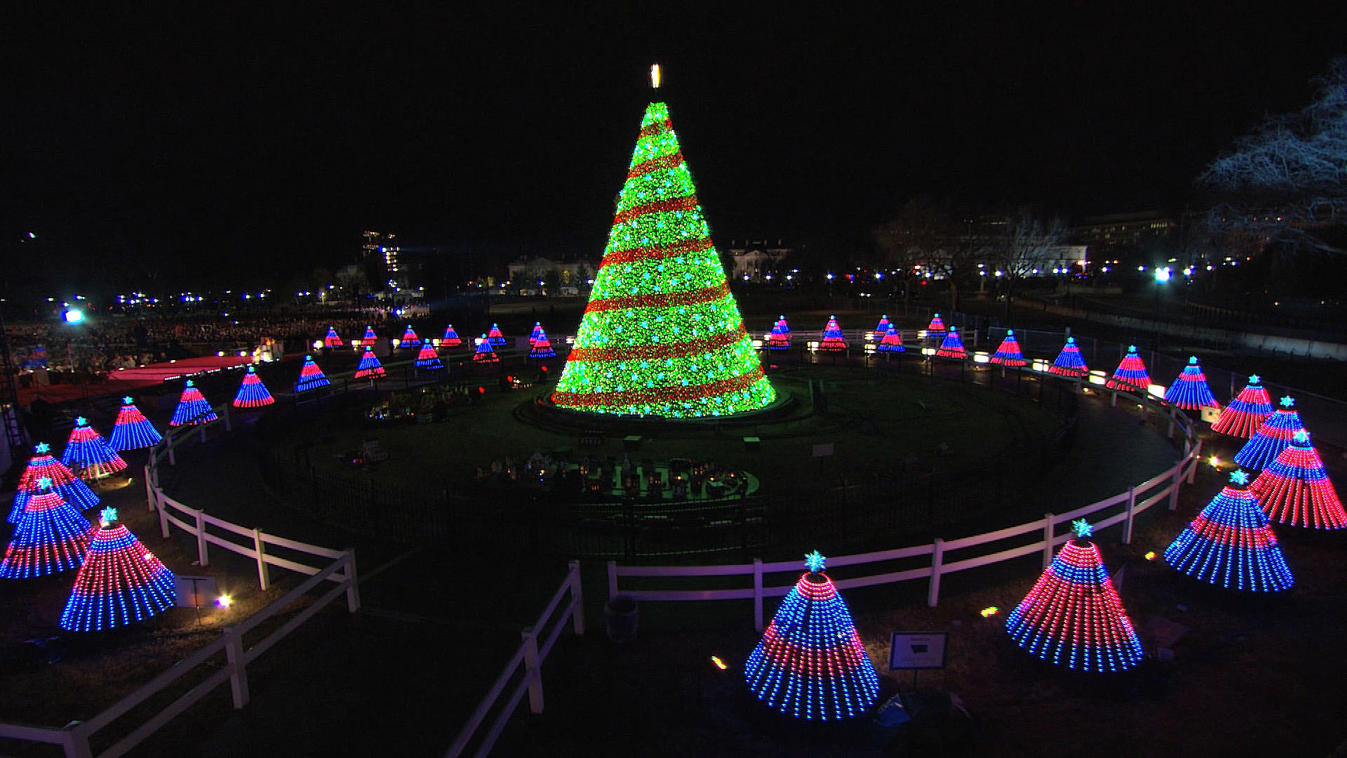 mwc_holiday_lights_trees_1
