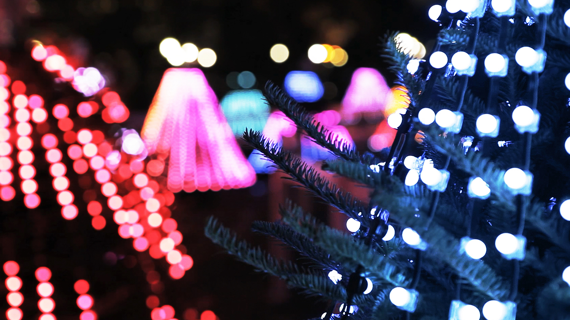 mwc_holiday_lights_trees_6